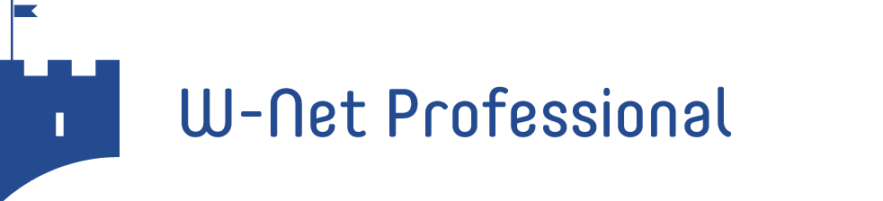 Stadtwerke-Waldkirch GmbH - Tarife - W-Net Professional